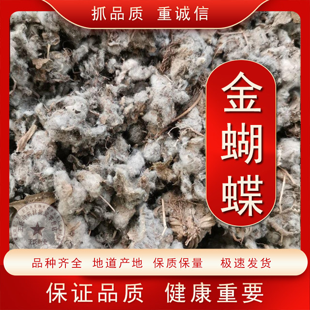 金蝴蝶中药材 锦地罗 文钱红 金线吊芙蓉 落地金钱 新鲜干货
