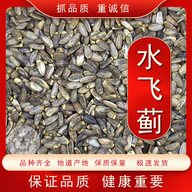 新货水飞蓟籽优质水飞蓟优质水飞蓟种子 奶蓟种子水飞蓟500克包邮