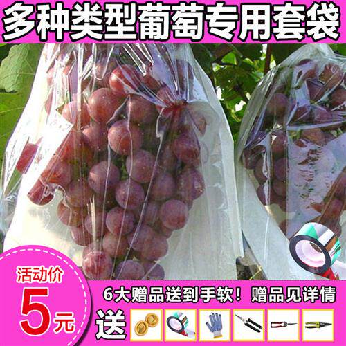 葡萄袋子纸袋葡萄套袋露天阳光玫瑰半透明袋纸套袋专用水果套袋子