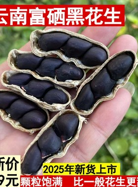 富硒黑花生云南普洱镇沅带壳黑花生甘甜原味美味休闲食材500g包邮