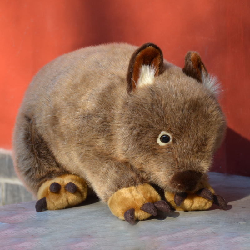 其他树袋熊公仔PP棉仿真可爱