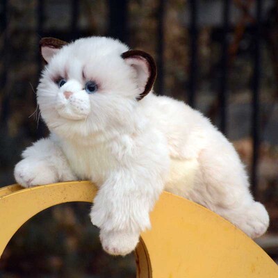猫咪公仔PP棉仿真可爱