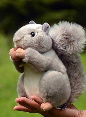 正版AURORA松鼠毛绒玩具可爱仿真灰松鼠公仔玩偶布娃娃送儿童礼物