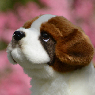 可爱仿真圣伯纳犬毛绒玩具狗狗玩偶模型摆件送男女生生日礼物礼品