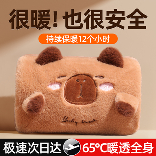 暖水袋冬季 防爆正品 女生暖手宝毛绒暖宝宝 电热水袋充电款 2025新款