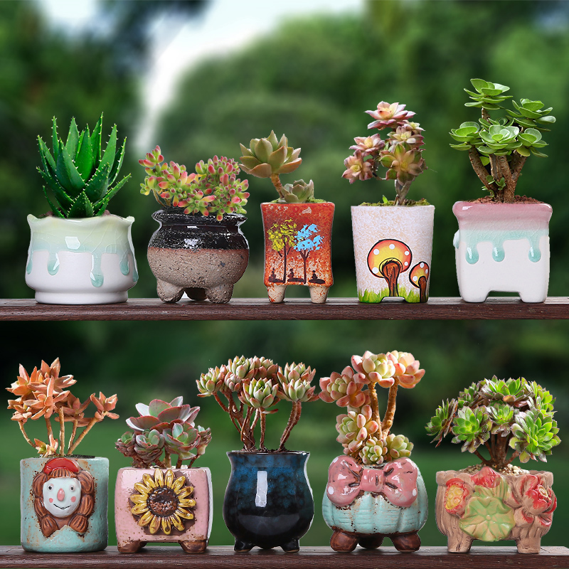 花盆简约陶瓷耐用可爱创意透气