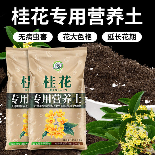 桂花专用土疏松透气花大色艳丽