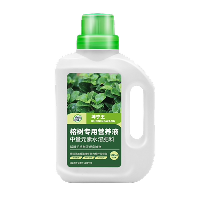 榕树专用营养液肥料人参榕小叶榕