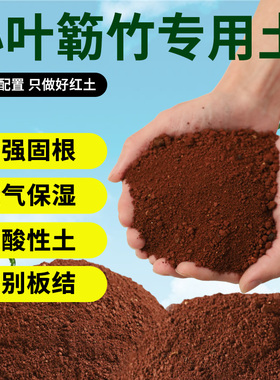 小叶簕竹专用土簕竹生桩专用土风化土红土勒竹盆景赤玉土营养土壤
