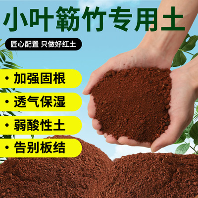 小叶簕竹专用土簕竹生桩专用土风化土红土勒竹盆景赤玉土营养土壤