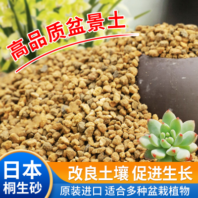 桐生砂日本进口多肉颗粒营养沙土透气保水绿植花卉拌土种植通用型