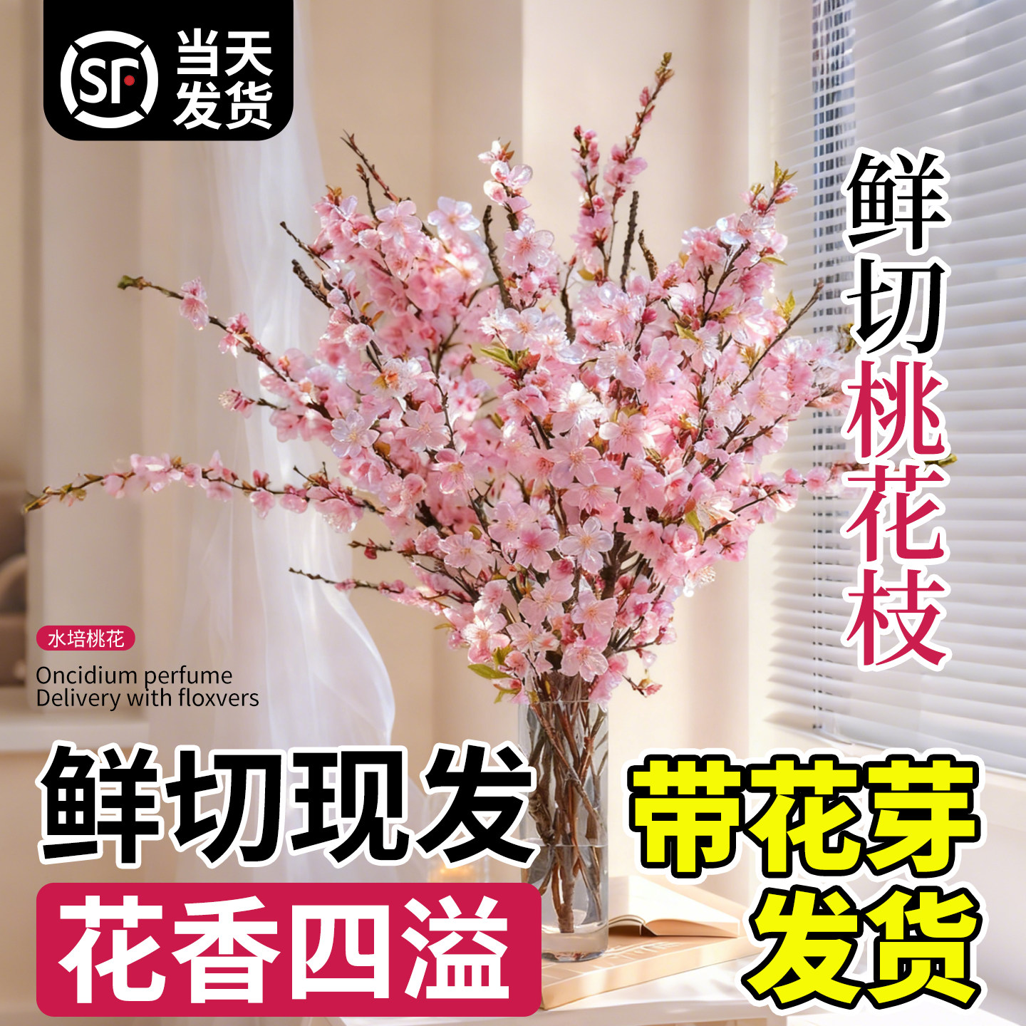 桃花枝水培植物带真花红梅鲜花切枝干枝珍珠李花卉室内绿植物盆栽