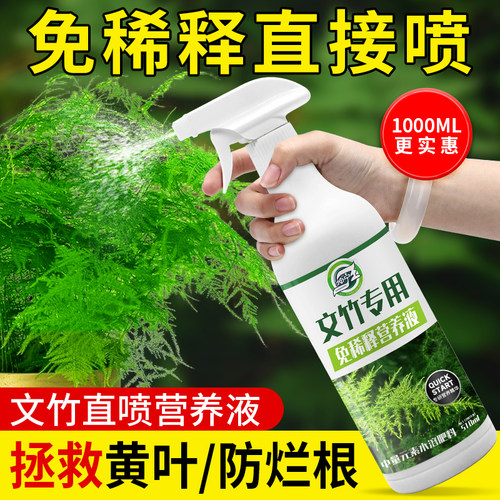 文竹免稀释营养液盆栽液体肥