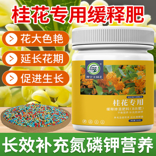 桂花树肥料专用缓释颗粒肥专治黄叶干枯干尖肥料四季 桂专用复合肥