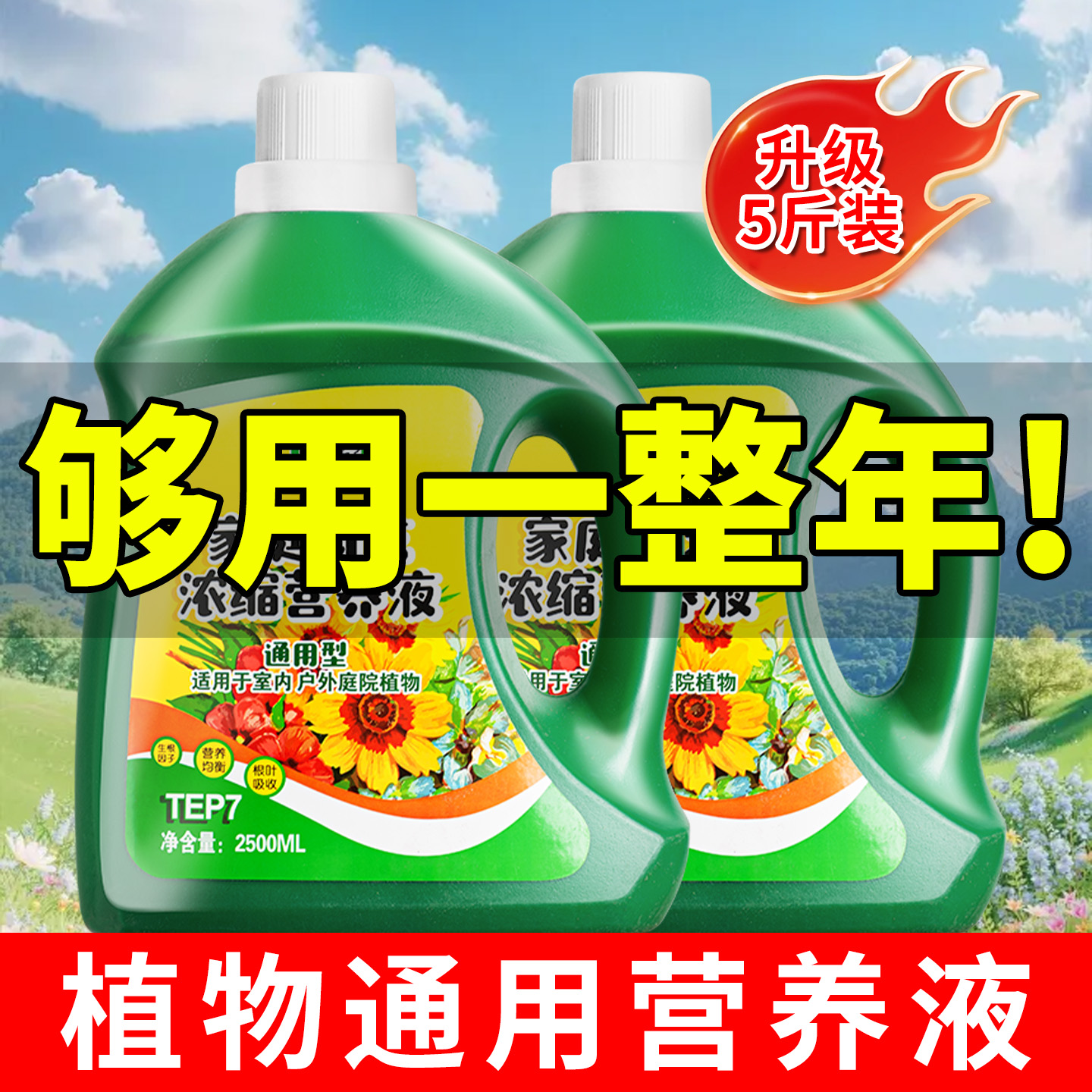 植物发财树富贵竹绿萝营养液