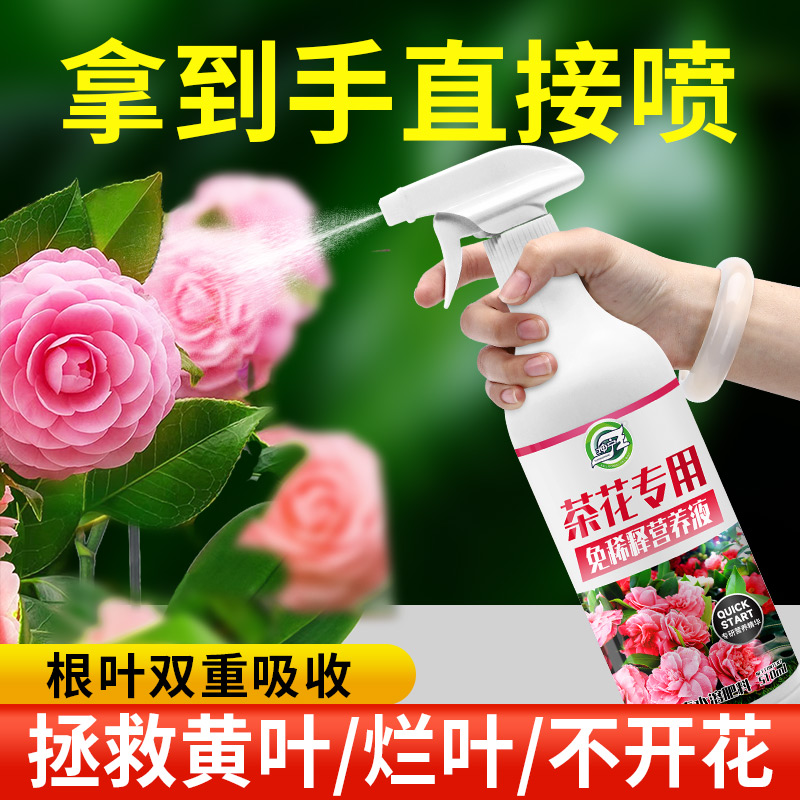 茶花肥料专用肥免稀释营养液山茶花茉莉栀子杜鹃喜酸植物盆栽家用