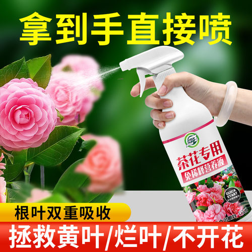 茶花专用营养液免稀释直接喷