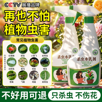 植物杀虫剂花卉月季红蜘姝除虫药