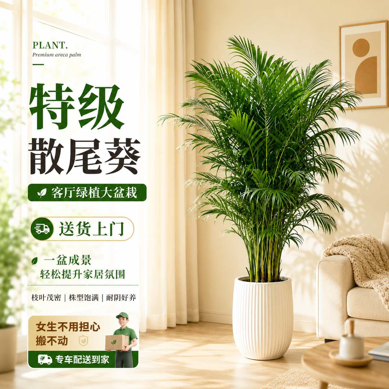 散尾葵客厅绿植高级感盆栽室内四季常青大型植物富贵椰子凤尾竹子