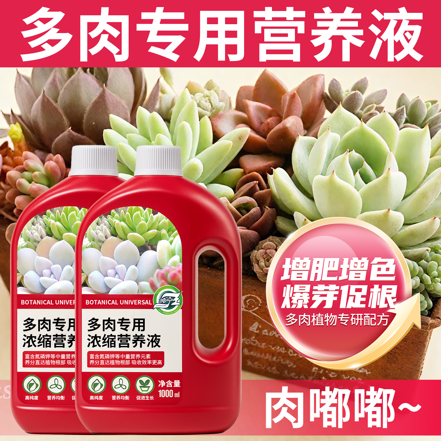 多肉专用肥养多肉专用营养液肥料家用多肉盆栽增色优芽专用营养液