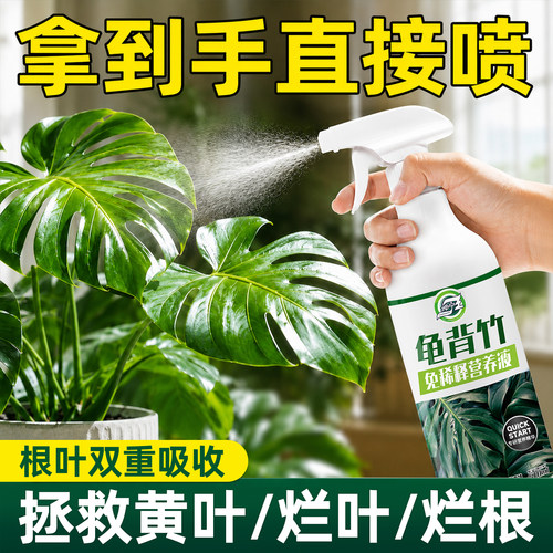 龟背竹免稀释营养液天南星科肥料