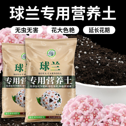 球兰专用土专用种植泥土松弛透气