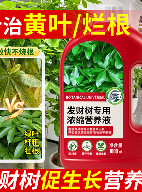 发财树专用营养液营养肥料叶子发黄掉叶黄叶枯叶烂根专用药水培