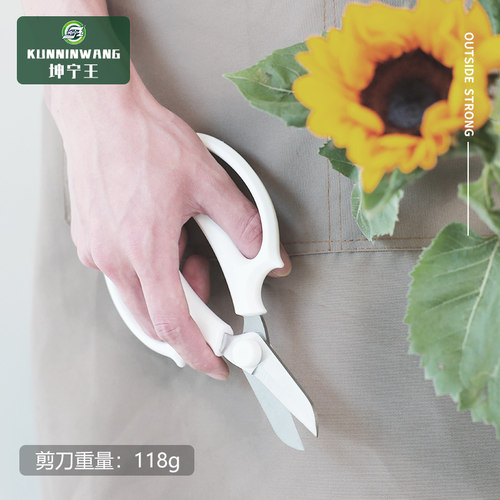 园艺剪插花专用剪刀修枝剪花艺剪剪树枝果树剪刀枝剪修剪花卉剪子