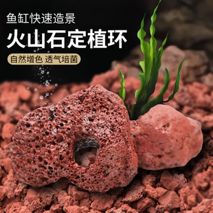 火山石水草定植环水草固定器鱼缸造景装 饰鱼缸水草种植大块造景石