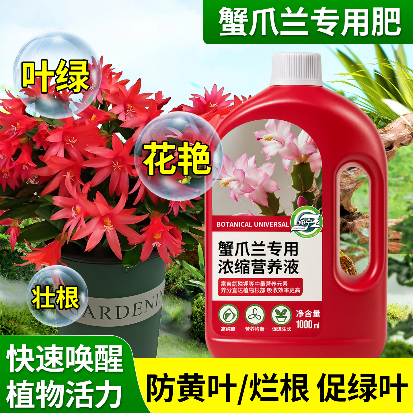 蟹爪兰专用植物营养液养花绿植盆栽专用肥料催花促箭生根延长花期,鲜花速递/花卉仿真/绿植园艺,家庭园艺肥料,淘宝优惠券,粉丝福利购,淘宝优惠卷