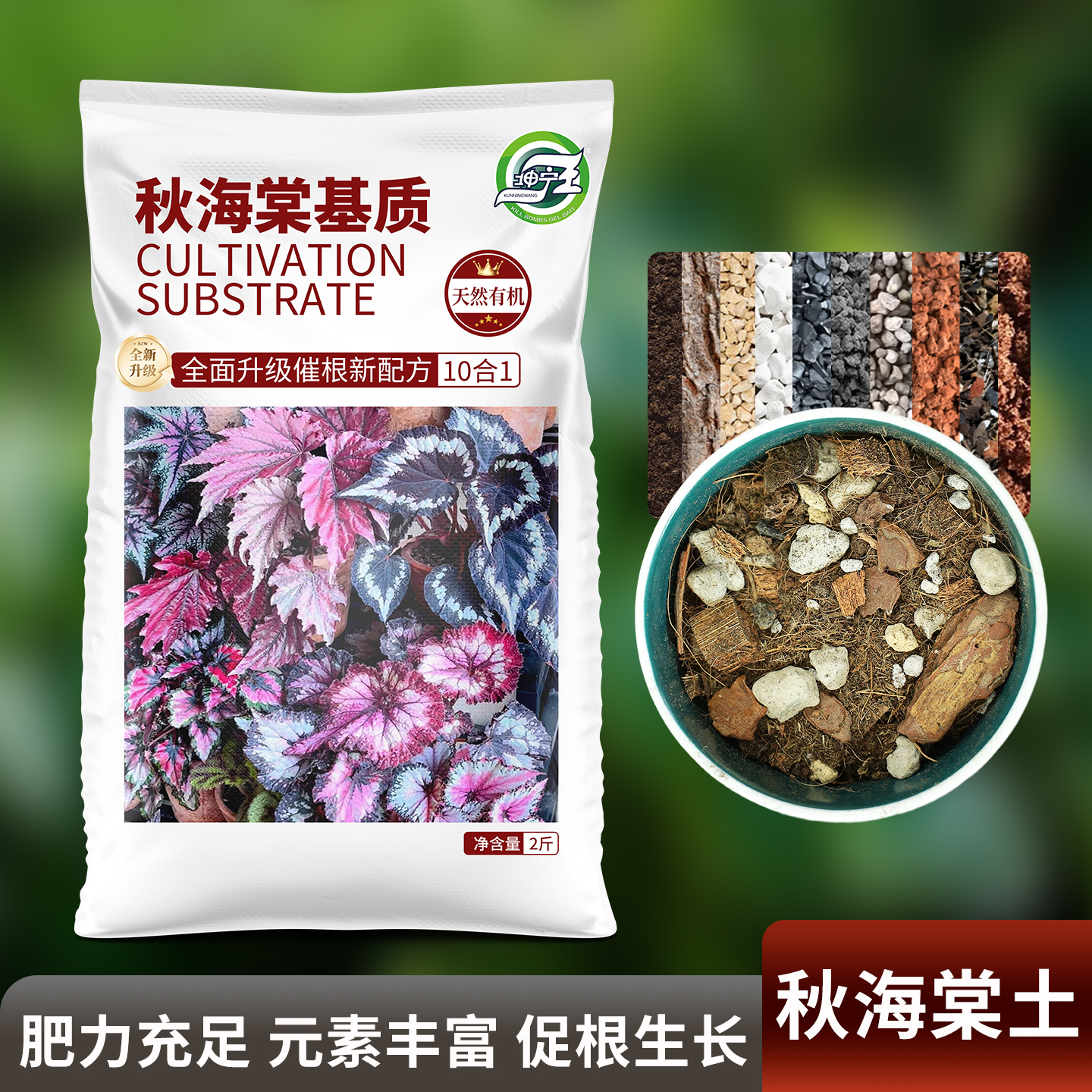 秋海棠专用有机营养土疏松透气