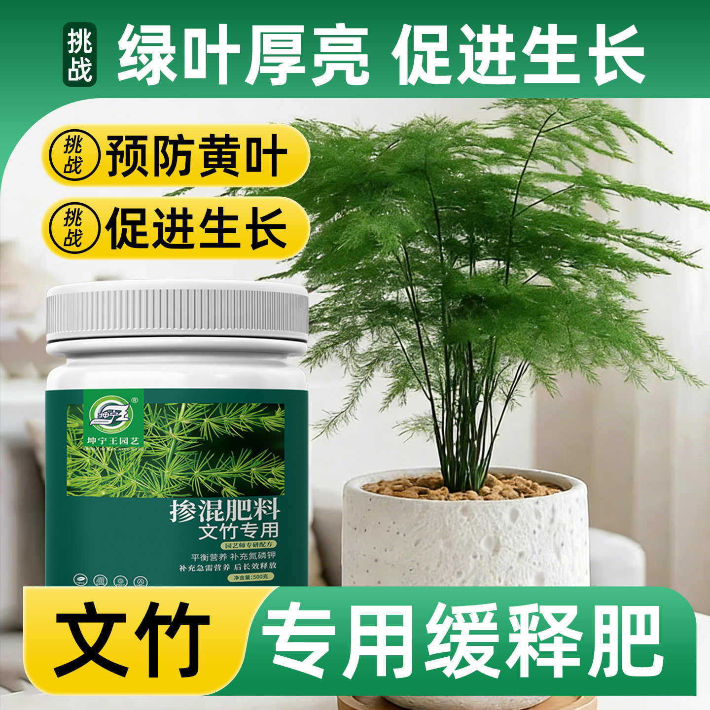 文竹专用肥料复合肥花肥肥料通用养花肥料蔬菜农用种菜花卉专用,鲜花速递/花卉仿真/绿植园艺,家庭园艺肥料,淘宝优惠券,粉丝福利购,淘宝优惠卷