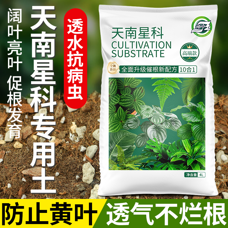 南天星植物土椰壳粗颗粒松树皮