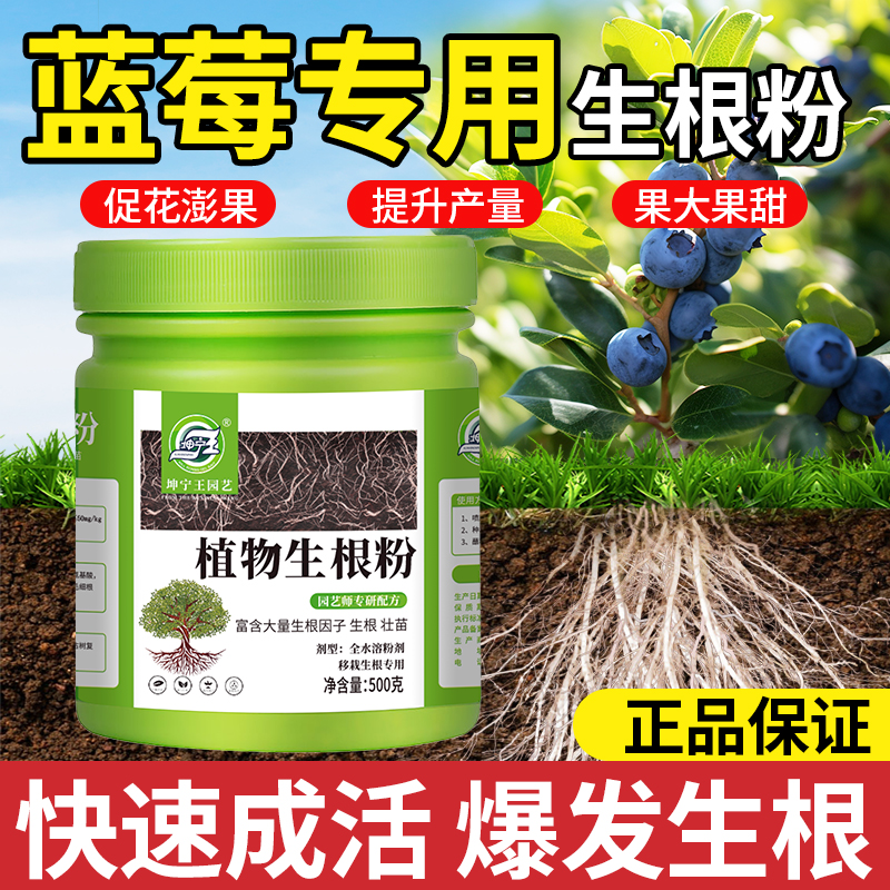 蓝莓专用生根粉植物通用生根壮苗树木移栽蓝莓盆栽专用强力生根剂