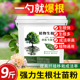 生根粉植物通用生根剂壮苗剂强力生根液果树专用月季 多肉植物扦插