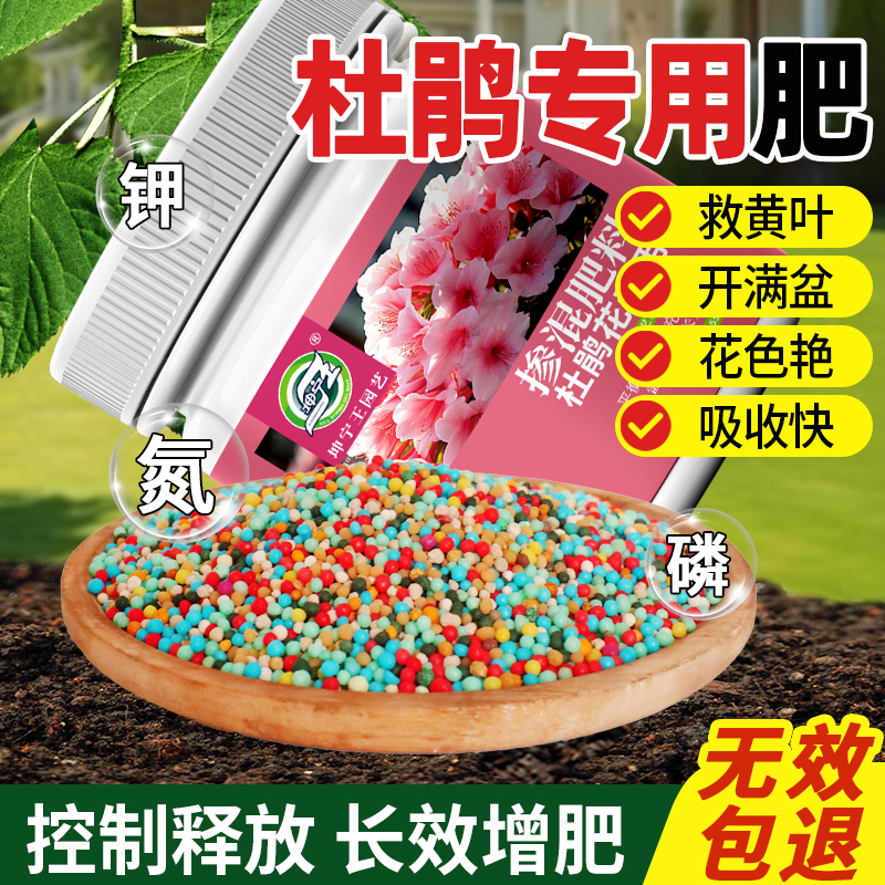 坤宁王杜鹃花肥料专用缓释肥颗粒防止枯叶黄叶促花开专用控释肥料