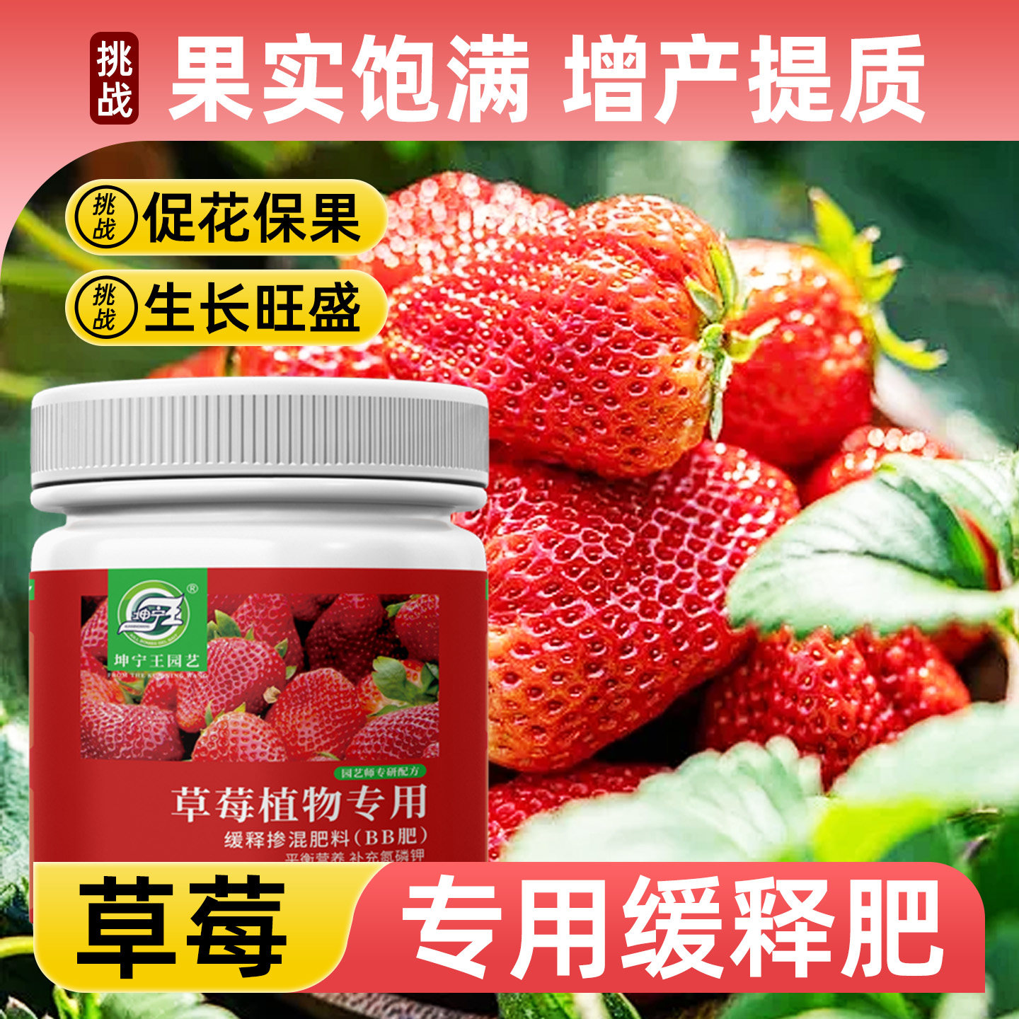 草莓专用肥料复合肥花肥肥料通用养花肥料蔬菜农用种菜花卉专用,鲜花速递/花卉仿真/绿植园艺,家庭园艺肥料,淘宝优惠券,粉丝福利购,淘宝优惠卷