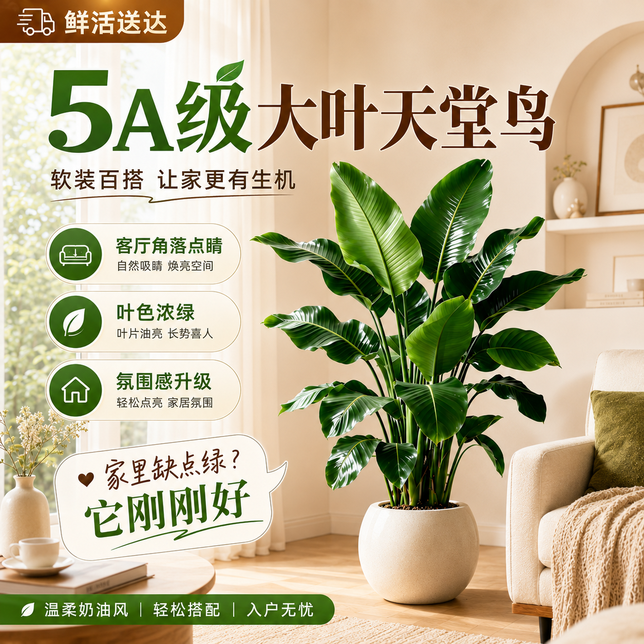 天堂鸟盆栽客厅室内大型绿植办公室真花卉鹤望兰轻奢观赏绿色植物
