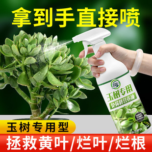 玉树专用免稀释营养液肥料防治黑斑病绿植通用型催根促生长防黄叶