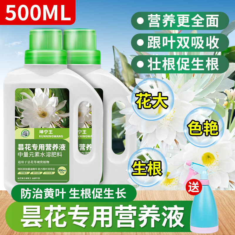 昙花专用肥料营养液坤宁王