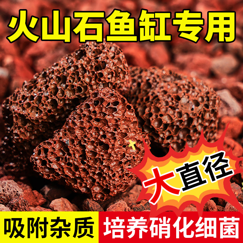 坤宁王火山石过滤清洗随拿随用