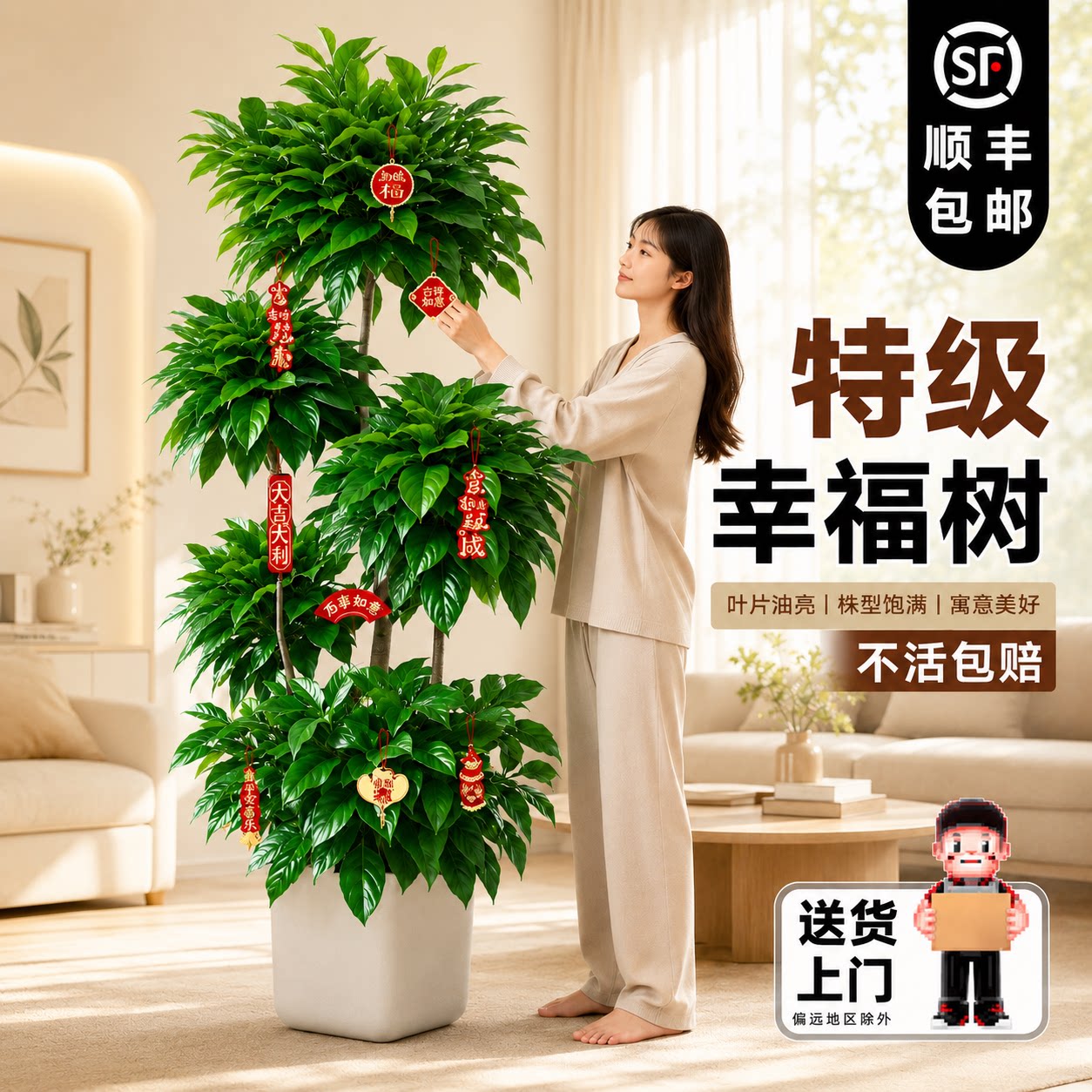 特级幸福树客厅大盆栽老桩植物高端多层造型室内好养落地大型绿植