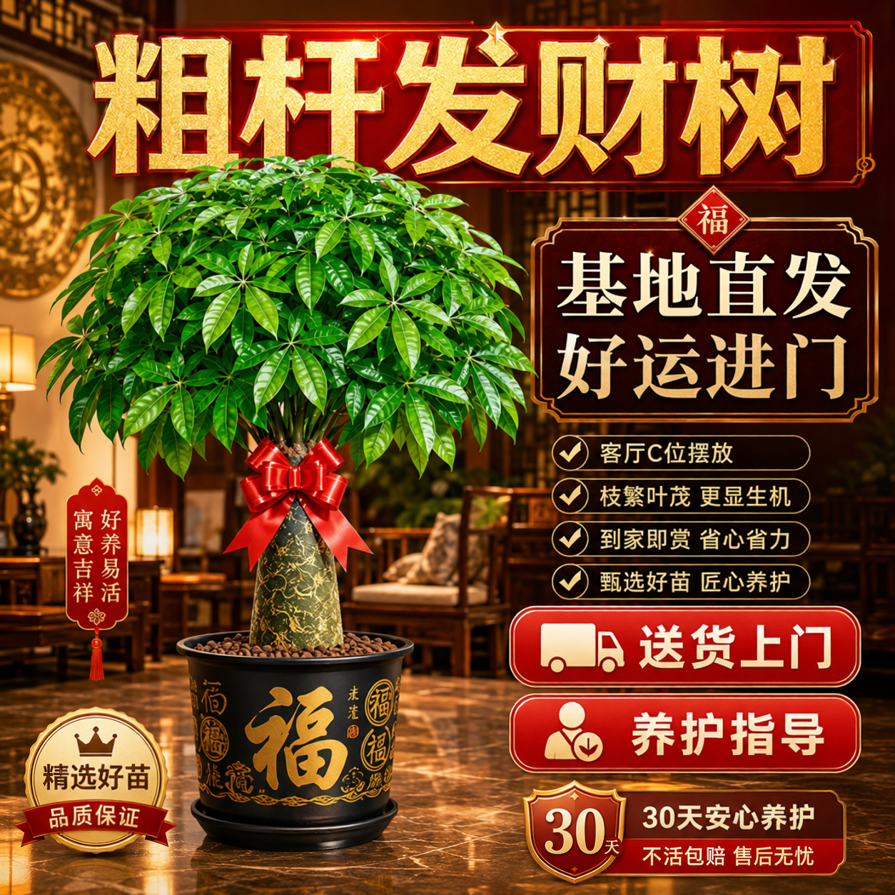 发财树客厅大盆栽2026新款大棵粗杆招财树植物办公室乔迁开业送礼