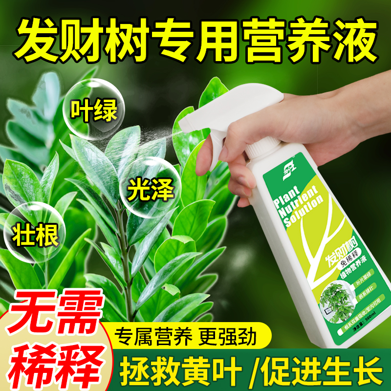 免稀释营养液发财树专用
