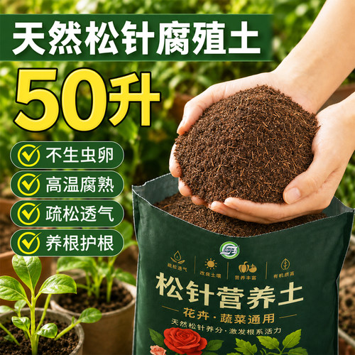 天然松针腐殖土发酵腐熟