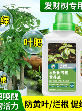 发财树专用植物营养液治烂根黄叶掉叶室内盆栽水培植物花卉肥料