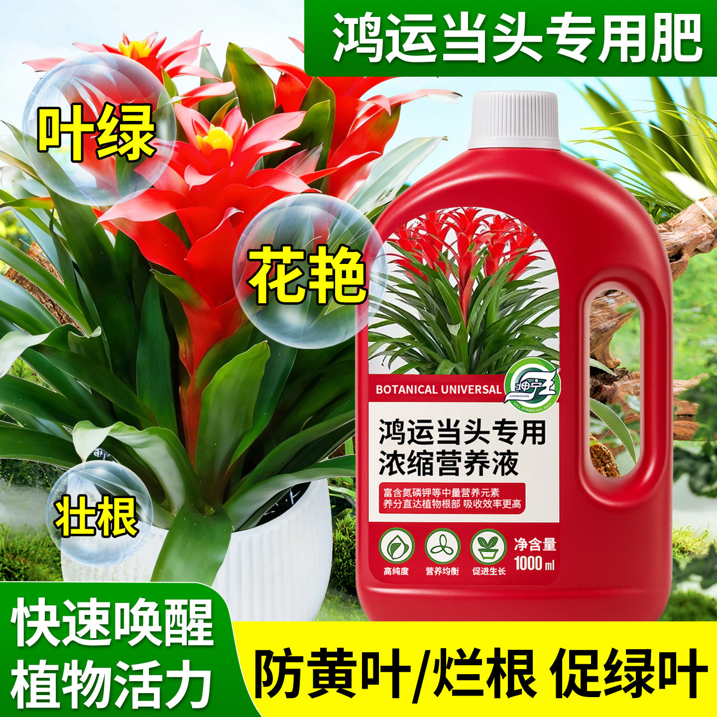 鸿运当头专用植物营养液花卉盆栽水培土培通用防烂根促绿叶促开花,鲜花速递/花卉仿真/绿植园艺,家庭园艺肥料,淘宝优惠券,粉丝福利购,淘宝优惠卷