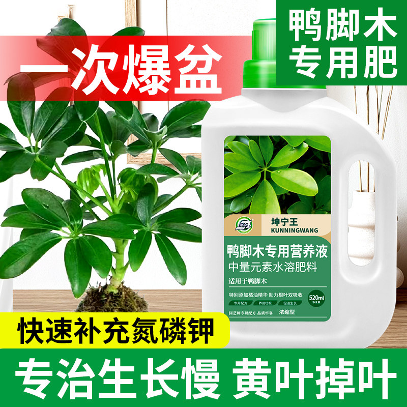鸭脚木专用肥料营养液鹅掌木鸭掌柴室内外绿植盆栽家庭专用营养液