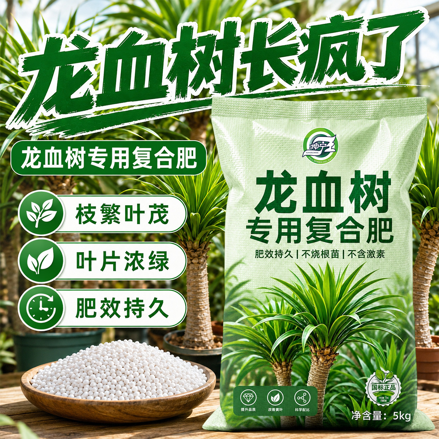 龙血树专用复合肥家用盆栽治黄叶防烂根氮磷钾肥三元肥官方正品肥图片