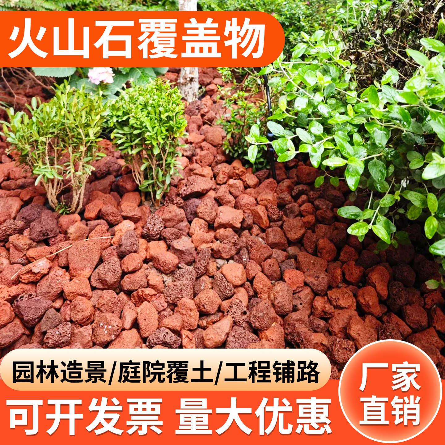 火山石颗粒多肉专用铺面垫底古法鱼缸生态造景专用免洗火山岩颗粒图片